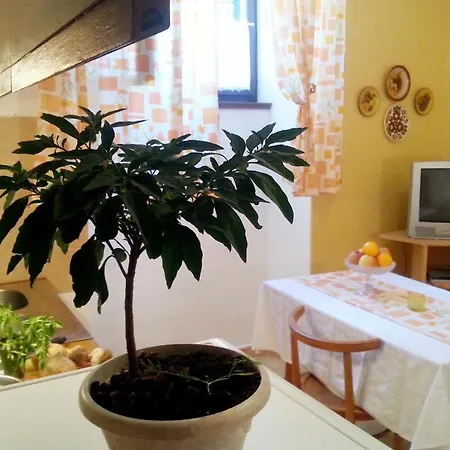 Milna 5242a * Milna (Brac)